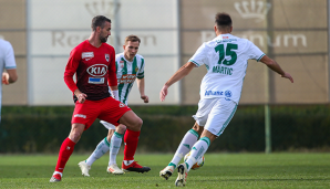 Stefan Maierhofer traf gegen Rapid.