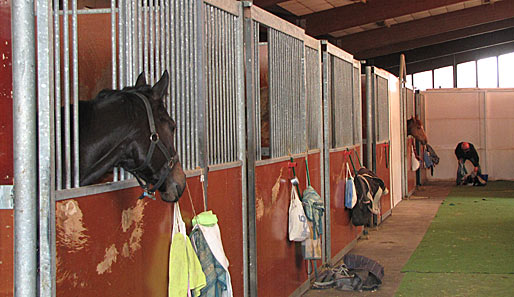 Im Innern des Stalls ist es ähnlich geräumig wie draußen. Hier werden die über 30 Pferde gehegt und gepflegt