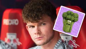 Oliver Burke und die Muppet-Figur Bernie Broccoli haben zwar dieselbe Frisur. Ersterer will jedoch bei Sheffield glänzen, während bei Bernie gute Ernährung über allem steht