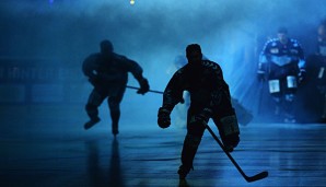 Die Hamburg Freezers haben sich mit vier vielversprechenden Spielern verstärkt