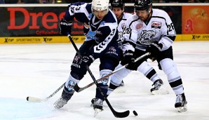 Steven Reiprecht (r.) verlängert seinen Vertrag bei den Ice Tigers