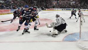 Die Eisbären Berlin sind Tabellendritter