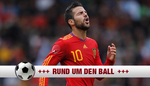 Cesc Fabregas hat bislang 53 Länderspiele für Spanien absolviert