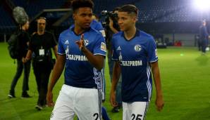 17. FC SCHALKE 04 - Einnahmen: 6,1 Millionen; Ausgaben: 47 Millionen; Bilanz: -40,9 Millionen