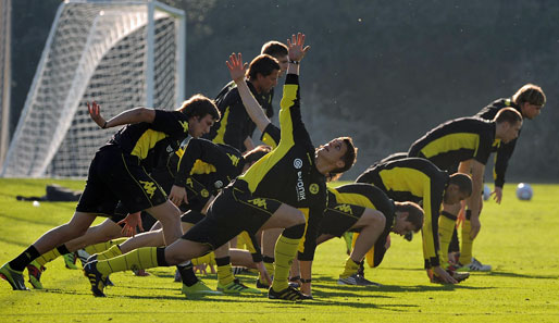 Borussia Dortmund wurde bereits sechs Mal Deutscher Meister