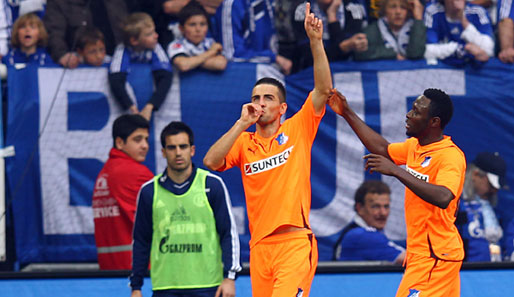 In der Hinrunde noch in Hoffenheim - jetzt sind beide weg: Ibisevic und Obasi (r.)