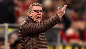 Peter Stöger und Köln peilen nach dem Pokalaus eine Wiedergutmachung an