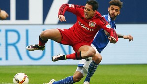 Chicharito ist mit 17 Treffern bester Torschütze der Werkself