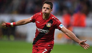 Javier Hernandez will nichts von den Gerüchten um seine Person wissen