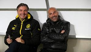 Peter Bosz auf der Trainerbank des BVBs