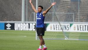 Weston McKennie: Die Allzweckwaffe der Schalker machte im Sommer nochmal einen sportlichen Sprung nach vorn. Im Gold Cup führte er die USA bis ins Finale. Durch seine Lauffreude und Dynamik hat er im Vergleich zu Serdar aktuell die Nase vorn.