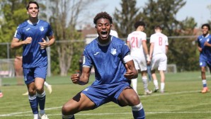 Die TSG Hoffenheim wurde Meister der Staffel Süd/Südwest.