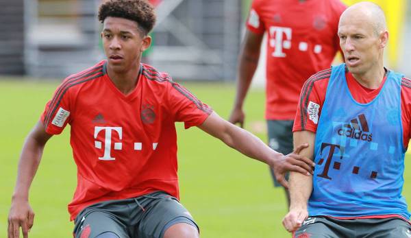 richards-robben-1200_600x347