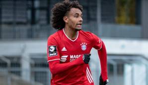 Joshua Zirkzee vom FC Bayern München kann sich in der Winterpause einen Abschied per Leihe vorstellen.