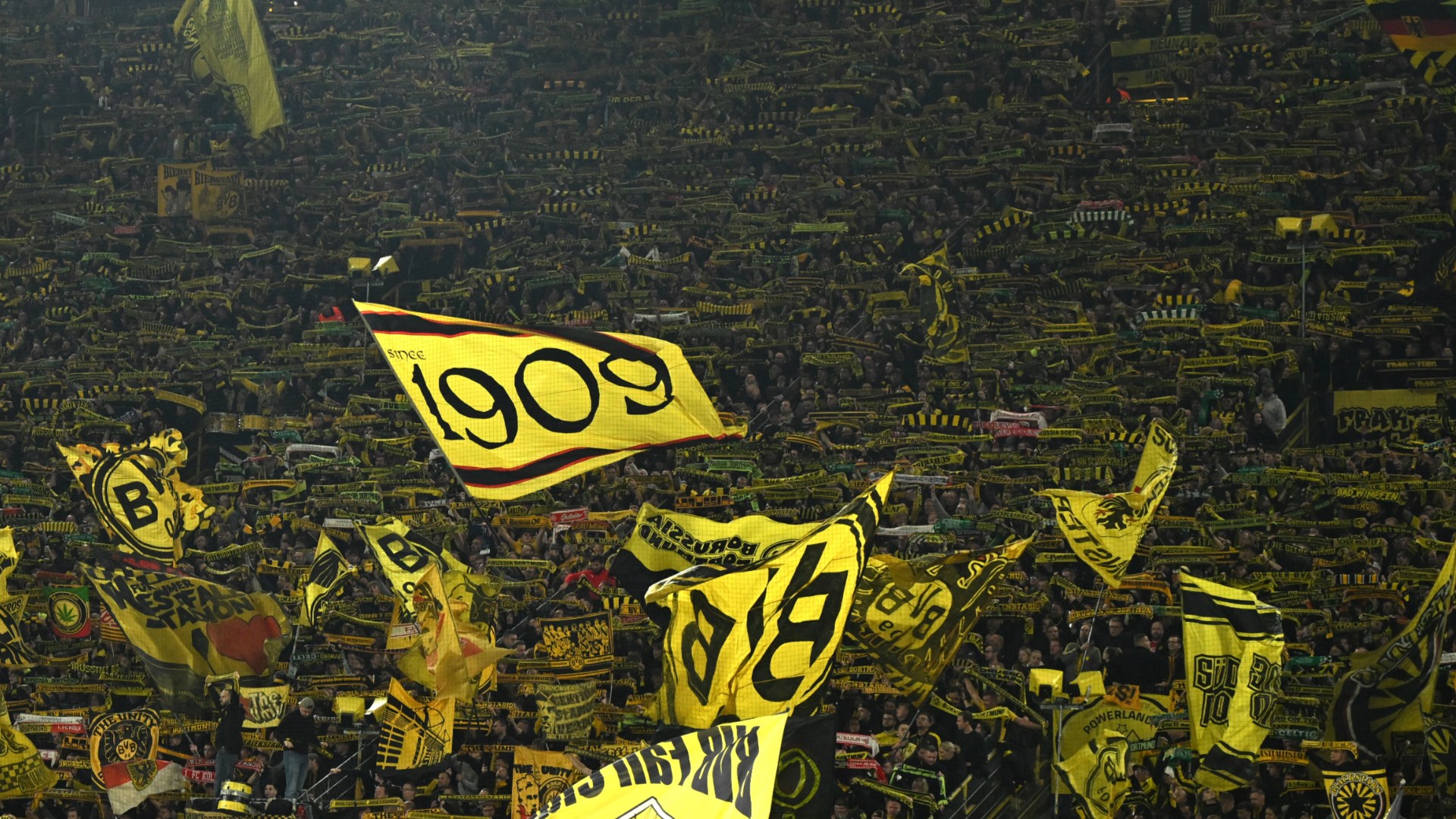 BVB-Fans-1920