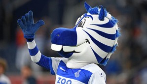 Der MSV Duisburg spielt seit 2013 in der 3.Liga