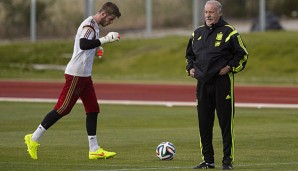 Vicente del Bosque unterstützt weiter seinen Torwart David de Gea