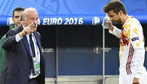 Vicente del Bosque und Gerard Pique wollen den EM-Titel-Hattrick perfekt machen