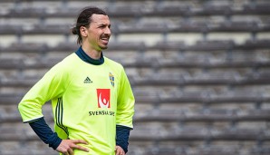 Zlatan Ibrahimovic will sich nach der EM offenbar nur noch auf seinen Verein konzentrieren