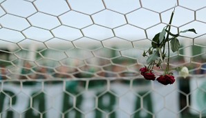 Die lateinamerikanische Fußballwelt zeigt Solidarität mit Chapecoense