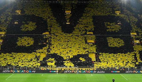 bvb-1_600x347