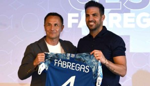 fabregas-wise-copy-001