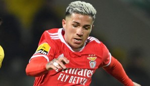 Enzo Fernandez, Benfica Lissabon, SL Benfica