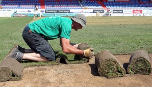 In Ajaccio halfen Fans, Präsident und Sportdirektor beim Verlegen des neuen Rasens