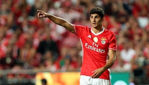 Goncalo Guedes verstärkt PSG