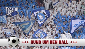 schalke-boykott-600