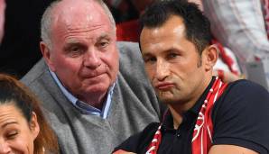 hoeness-brazzo