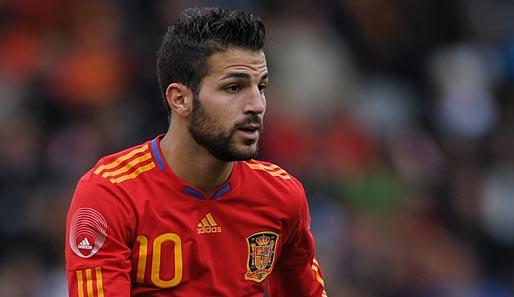 Cesc Fabregas bestritt seit 2006 53 Partien im Trikot der Spanier