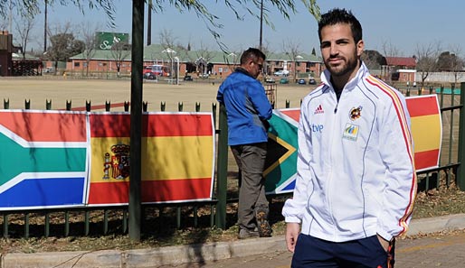 Cesc Fabregas erzielte in 53 Länderspielen für Spanien sechs Tore