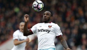 Michail Antonio fehlt England verletzt