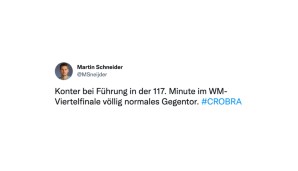 WM 2022, Weltmeisterschaft, Katar, Argentinien, Niederlande, Viertelfinale, Lionel Messi, Louis van Gaal, Netzreaktionen, Reaktionen, Twitter