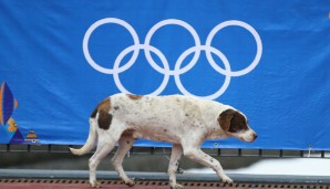 Die Olympischen Spiele stellen hohe Anforderungen an die Gastgeber