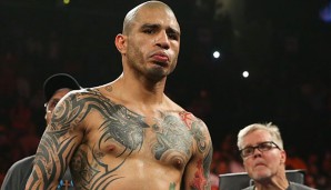 Miguel Cotto erwartet am 21. November Saul Alvarez im Ring