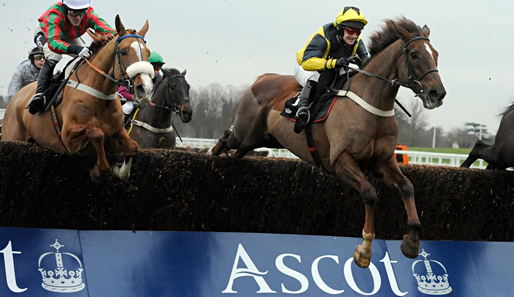 Auf der Nobelrennbahn Ascot sind sieben Superstars der National-Hunt-Szene versammelt