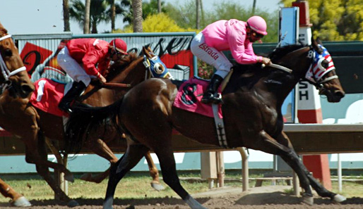 Das Phoenix Gold Cup Handicap besitzt am Samstag im Turf Paradise den höchsten Stellenwert