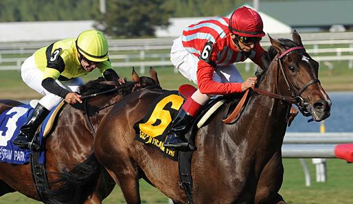 In Elmont werden am Samstag die Sheepshead Bay Stakes entschieden