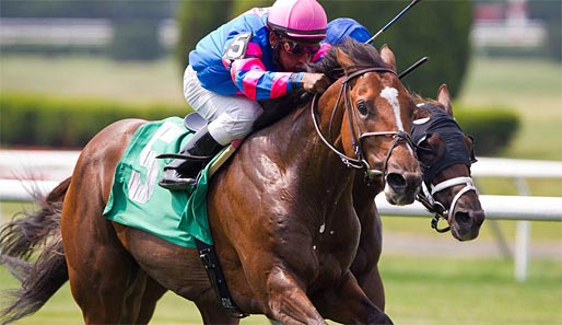 In Belmont Park stehen am 23. Juni neun Rennen auf der Karte