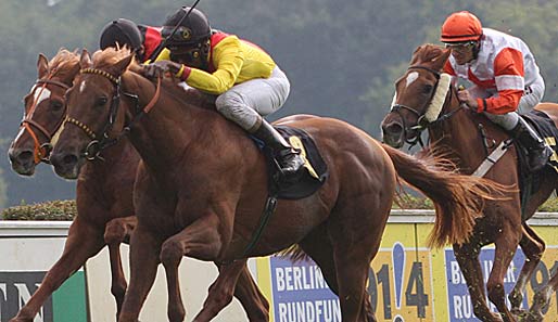 Dalarna und Paragua gehen als Favoriten ins Rennen in Hoppegarten