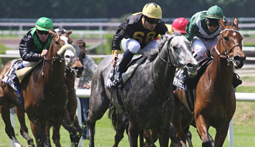 Auf dem Hippodrome de Parilly ist vor allem der Grand Prix du Departement du Rhone im Fokus