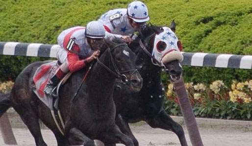 Ein spannendes Duell erwartet die Zuschauer heute auf dem Finger Lakes Racecourse