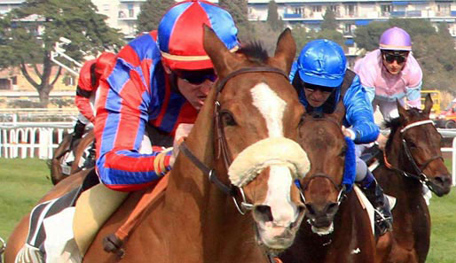 Sieben Rennen stehen beim Amateurreiten in Vichy an