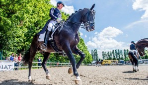 Matthias Rath und sein Wunderpferd Totilas sind weiter auf der Überholspur