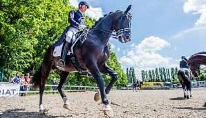 Matthias Rath musste mit Totilas kurzfristig absagen