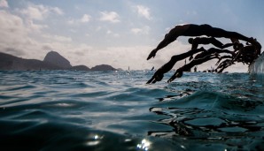 Die FINA untersucht das Hafenrennen in Hongkong