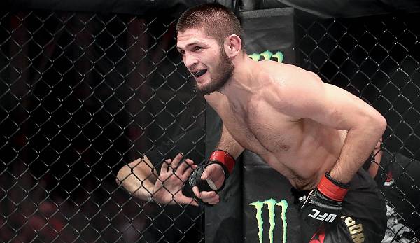 khabib-insel-1200_600x347