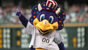 Dinger - Colorado Rockies (MLB): Dinger ist ein Triceratops und ein Nachfrage eines Triceratops-Fossils, das beim Bau des Coors Fields in Denver gefunden wurde. "Dinger" wiederum ist Slang für Homerun